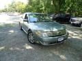 2008 Titanium Green Metallic Ford Taurus SEL  photo #1
