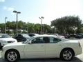 Stone White - Charger R/T Photo No. 13