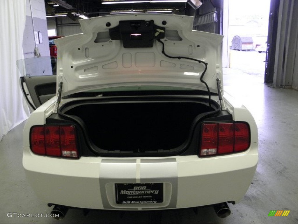 2007 Mustang Shelby GT Coupe - Performance White / Light Graphite photo #23