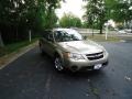 2008 Harvest Gold Metallic Subaru Outback 2.5i Wagon  photo #1