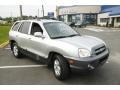 Smart Silver - Santa Fe GLS 4WD Photo No. 3