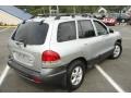 Smart Silver - Santa Fe GLS 4WD Photo No. 6