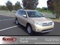 Sandy Beach Metallic - Highlander  Photo No. 1