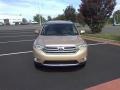 Sandy Beach Metallic - Highlander  Photo No. 2
