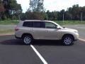 Sandy Beach Metallic - Highlander  Photo No. 4