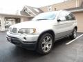 Titanium Silver Metallic 2000 BMW X5 4.4i