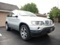 Titanium Silver Metallic - X5 4.4i Photo No. 2