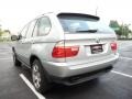Titanium Silver Metallic - X5 4.4i Photo No. 3