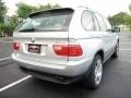 Titanium Silver Metallic - X5 4.4i Photo No. 4