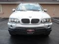 Titanium Silver Metallic - X5 4.4i Photo No. 8