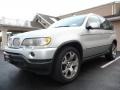 2000 Titanium Silver Metallic BMW X5 4.4i  photo #12