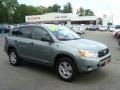 Everglade Metallic - RAV4 4WD Photo No. 1