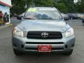 Everglade Metallic - RAV4 4WD Photo No. 2