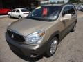 2005 Cashmere Beige Metallic Buick Rendezvous CXL AWD  photo #8