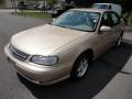 2003 Light Driftwood Metallic Chevrolet Malibu LS Sedan  photo #3