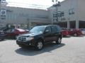 2009 Black Ford Escape XLT V6  photo #52