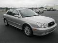 Brilliant Silver Metallic - Sonata GLS V6 Photo No. 17