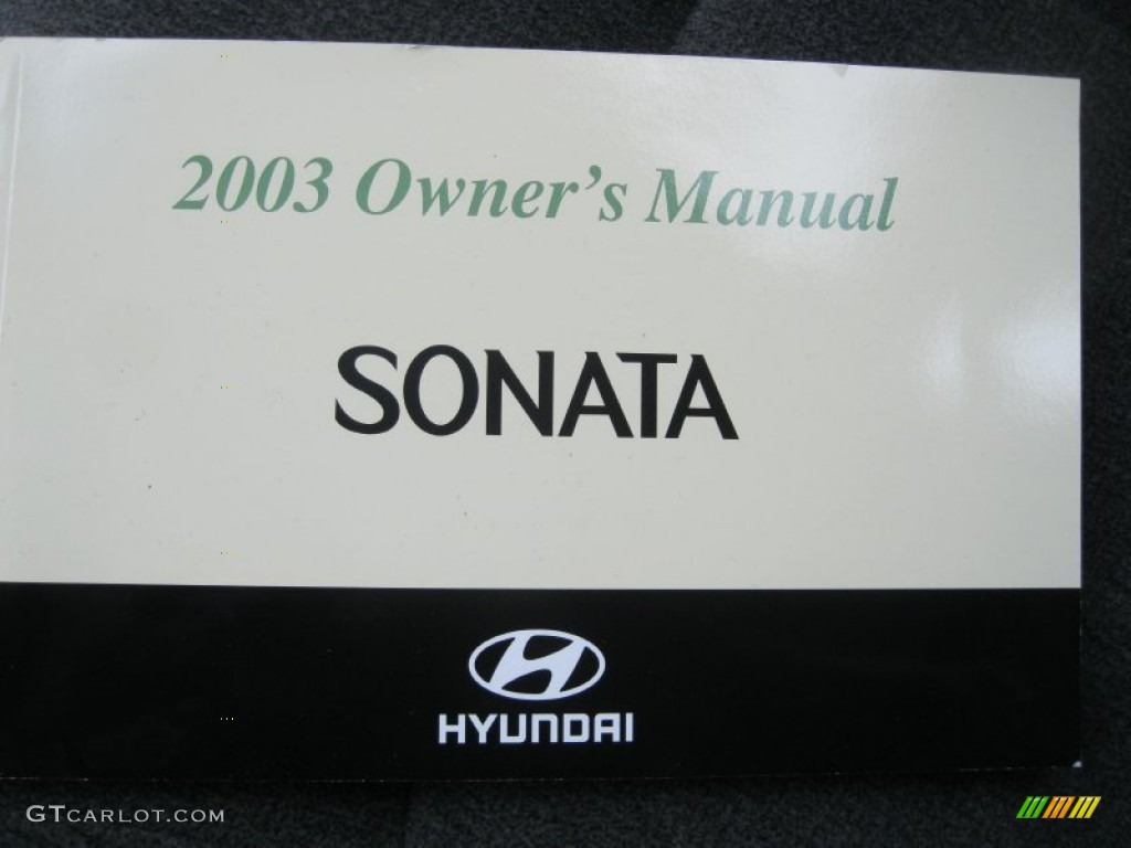 2003 Sonata GLS V6 - Brilliant Silver Metallic / Grey photo #24