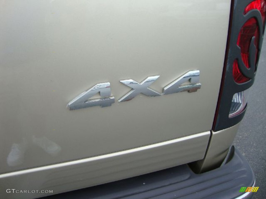 2002 Ram 1500 SLT Quad Cab 4x4 - Light Almond Pearl / Dark Slate Gray photo #37