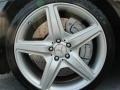 2008 Mercedes-Benz S 63 AMG Sedan Wheel and Tire Photo