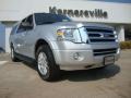 Ingot Silver Metallic 2011 Ford Expedition EL XLT