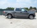 Sterling Grey Metallic 2011 Ford F150 XLT SuperCrew Exterior