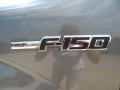 2011 Sterling Grey Metallic Ford F150 Texas Edition SuperCrew 4x4  photo #13