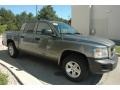 Mineral Gray Metallic - Dakota SXT Crew Cab 4x4 Photo No. 11