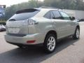 Bamboo Pearl - RX 350 AWD Photo No. 4