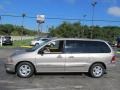 2002 Light Parchment Gold Metallic Ford Windstar SE  photo #6