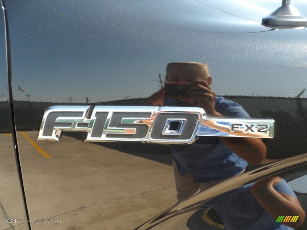 2010 Ford F150 FX2 SuperCrew Marks and Logos Photo #53460005