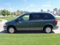 2006 Magnesium Pearl Chrysler Town & Country   photo #4