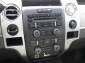 2010 Red Candy Metallic Ford F150 XLT SuperCrew  photo #20