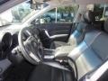 Carbon Gray Pearl - RDX  Photo No. 13