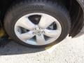 Carbon Gray Pearl - RDX  Photo No. 30