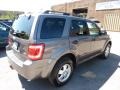 2012 Sterling Gray Metallic Ford Escape XLT V6 4WD  photo #2