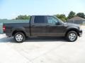 2005 Dark Stone Metallic Ford F150 XLT SuperCrew  photo #2