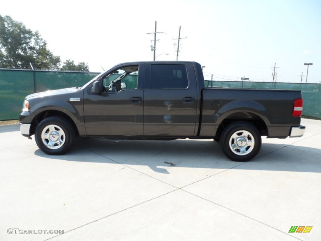 2005 F150 XLT SuperCrew - Dark Stone Metallic / Medium Flint Grey photo #6