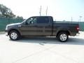 2005 Dark Stone Metallic Ford F150 XLT SuperCrew  photo #6