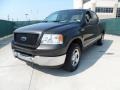 2005 Dark Stone Metallic Ford F150 XLT SuperCrew  photo #7