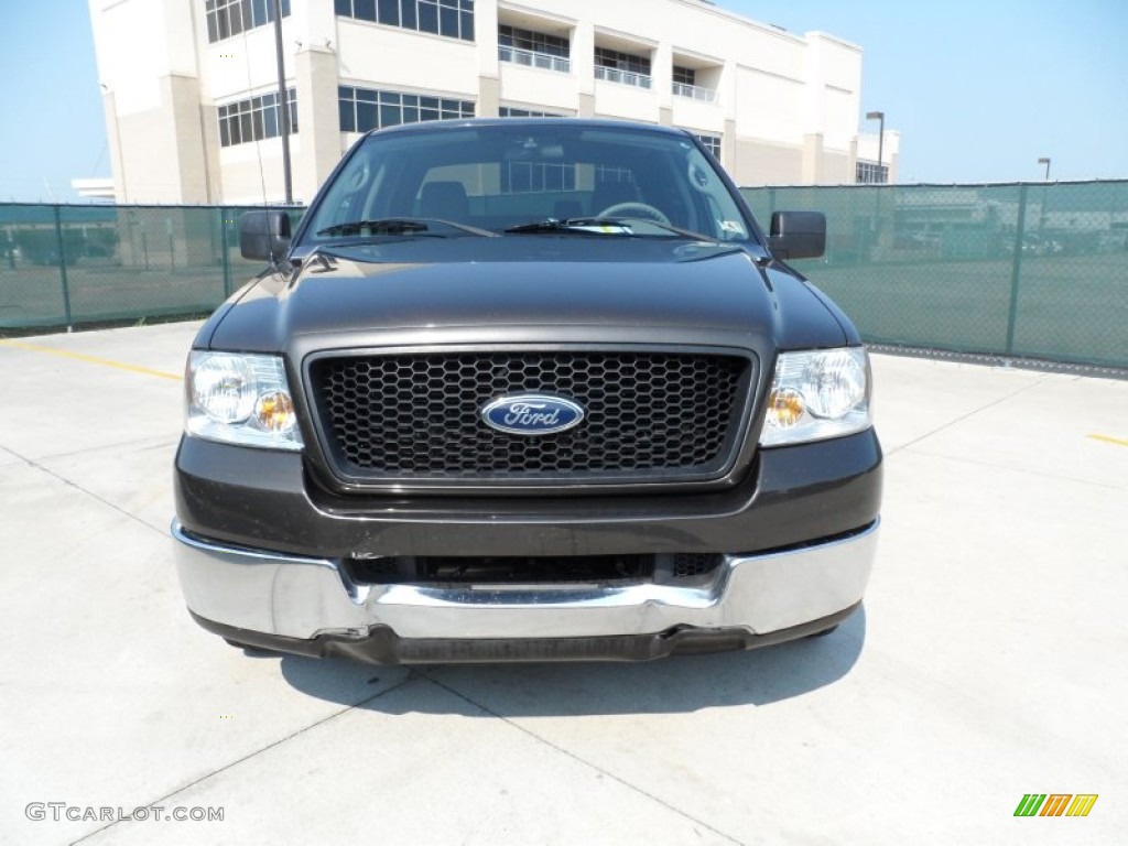2005 F150 XLT SuperCrew - Dark Stone Metallic / Medium Flint Grey photo #8