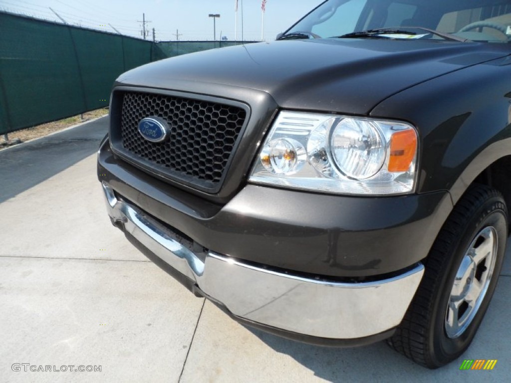 2005 F150 XLT SuperCrew - Dark Stone Metallic / Medium Flint Grey photo #13