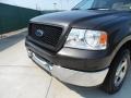 2005 Dark Stone Metallic Ford F150 XLT SuperCrew  photo #13