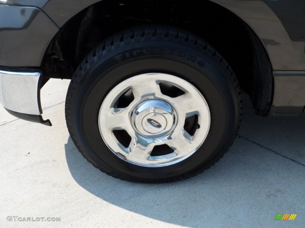2005 F150 XLT SuperCrew - Dark Stone Metallic / Medium Flint Grey photo #14