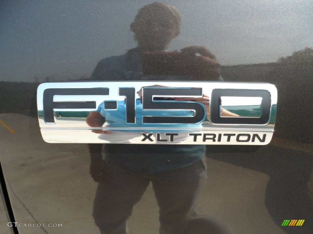 2005 F150 XLT SuperCrew - Dark Stone Metallic / Medium Flint Grey photo #19