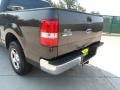 2005 Dark Stone Metallic Ford F150 XLT SuperCrew  photo #28