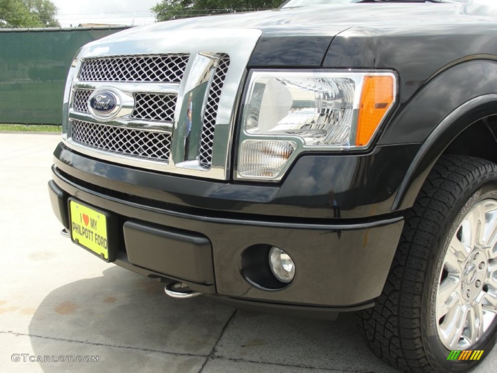 2010 F150 Platinum SuperCrew 4x4 - Tuxedo Black / Medium Stone Leather/Sienna Brown photo #13