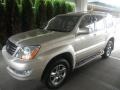 Titanium Metallic - GX 470 Photo No. 1