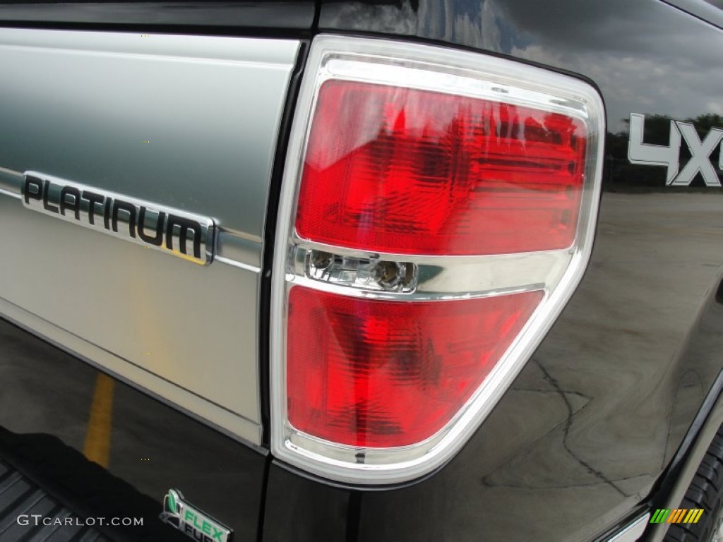 2010 F150 Platinum SuperCrew 4x4 - Tuxedo Black / Medium Stone Leather/Sienna Brown photo #25