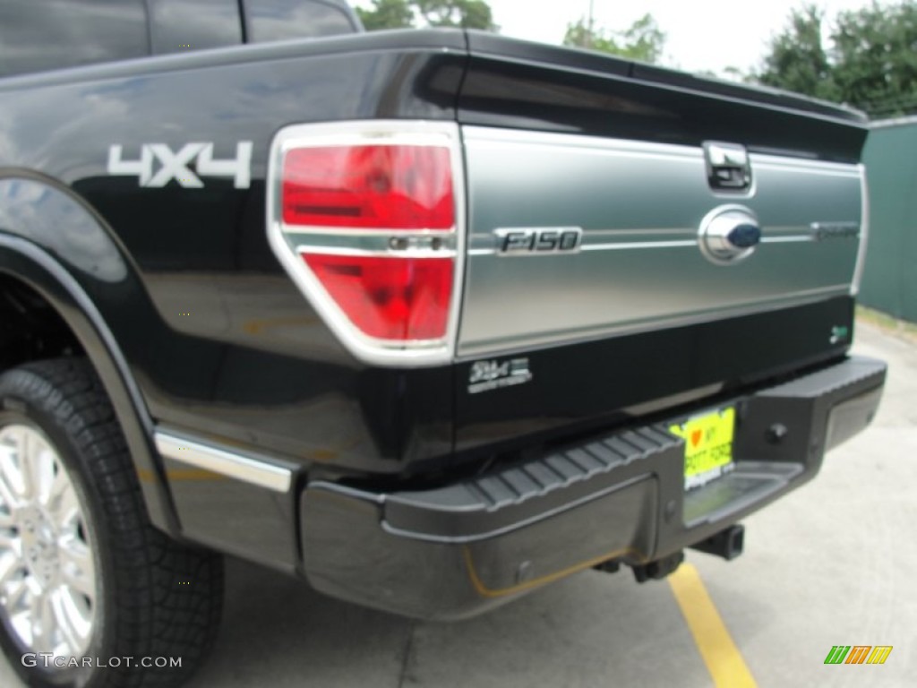 2010 F150 Platinum SuperCrew 4x4 - Tuxedo Black / Medium Stone Leather/Sienna Brown photo #30